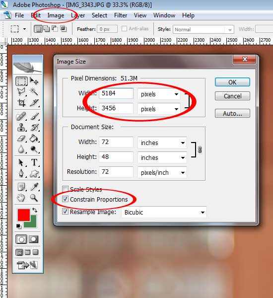 Detail Memperkecil Ukuran Gambar Nomer 10