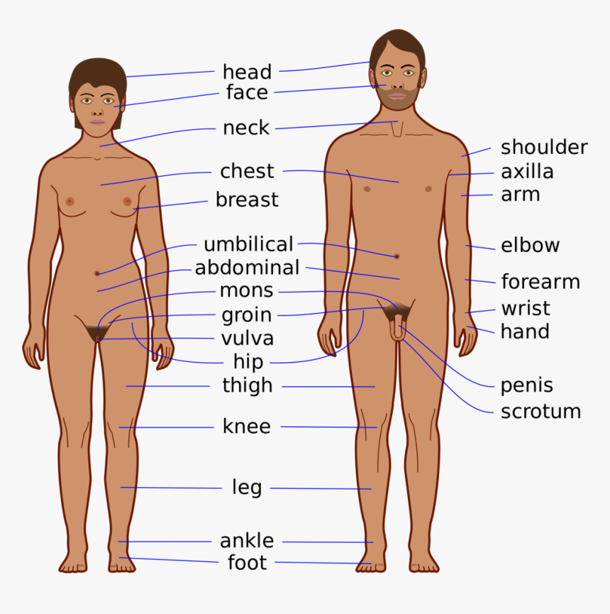 Detail Men Hd Nomer 42
