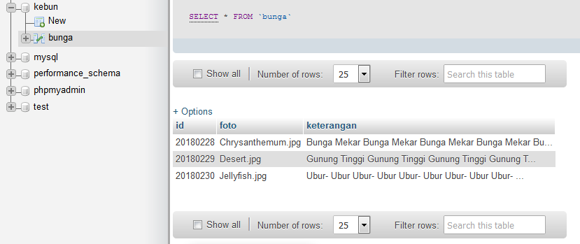 Menampilkan Gambar Daridatabase Mysql - KibrisPDR