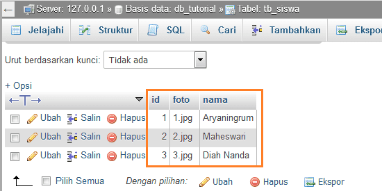 Detail Menampilkan Gambar Daridatabase Mysql Nomer 5