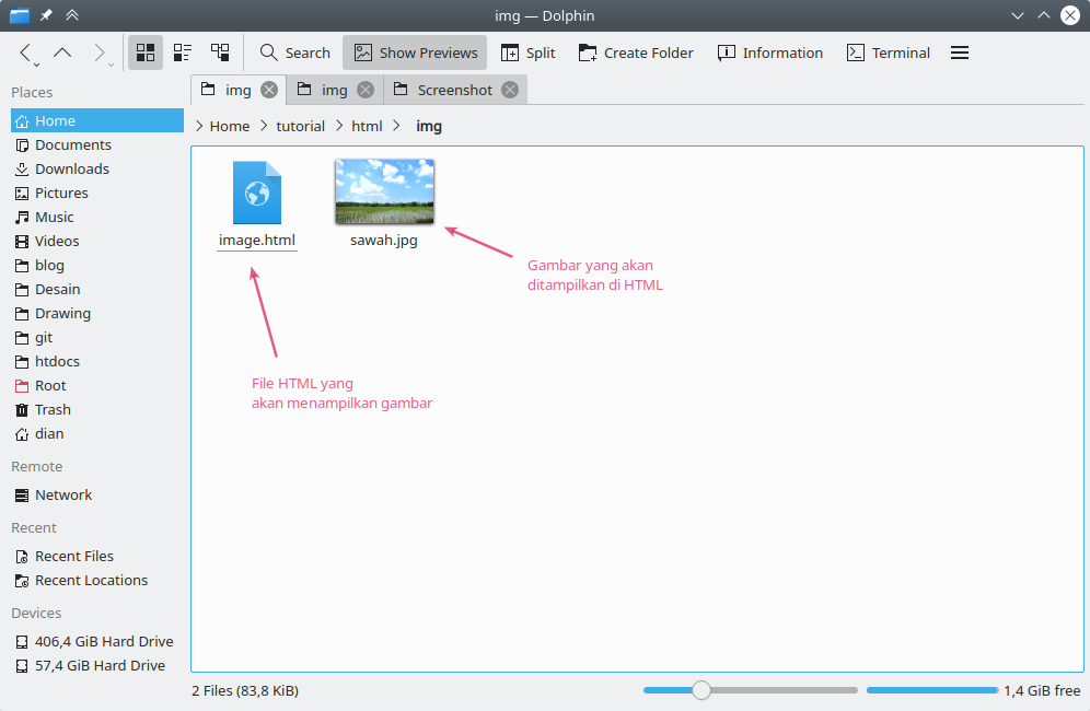 Detail Menampilkan Gambar Html Nomer 2
