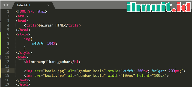Detail Menampilkan Gambar Html Nomer 13