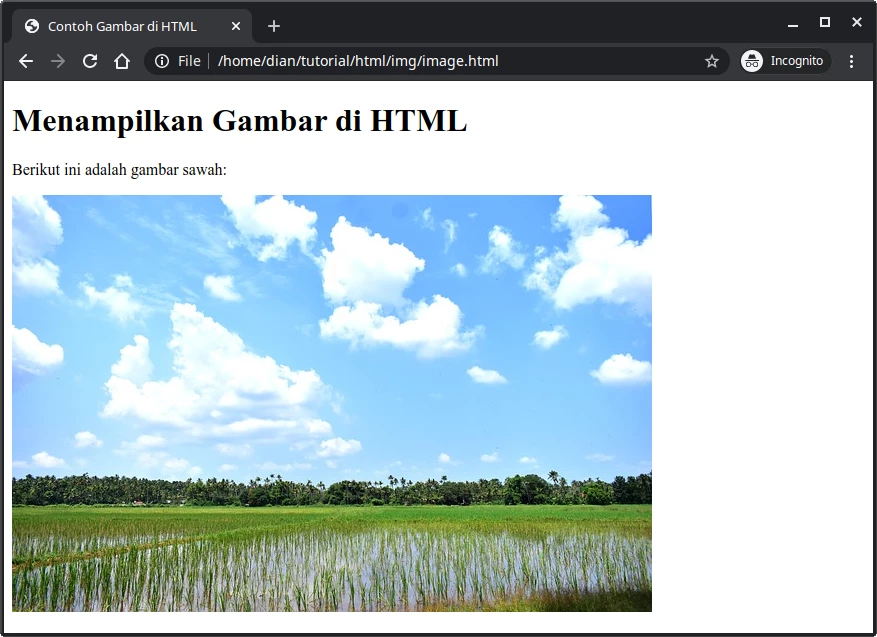 Detail Menampilkan Gambar Html Nomer 4