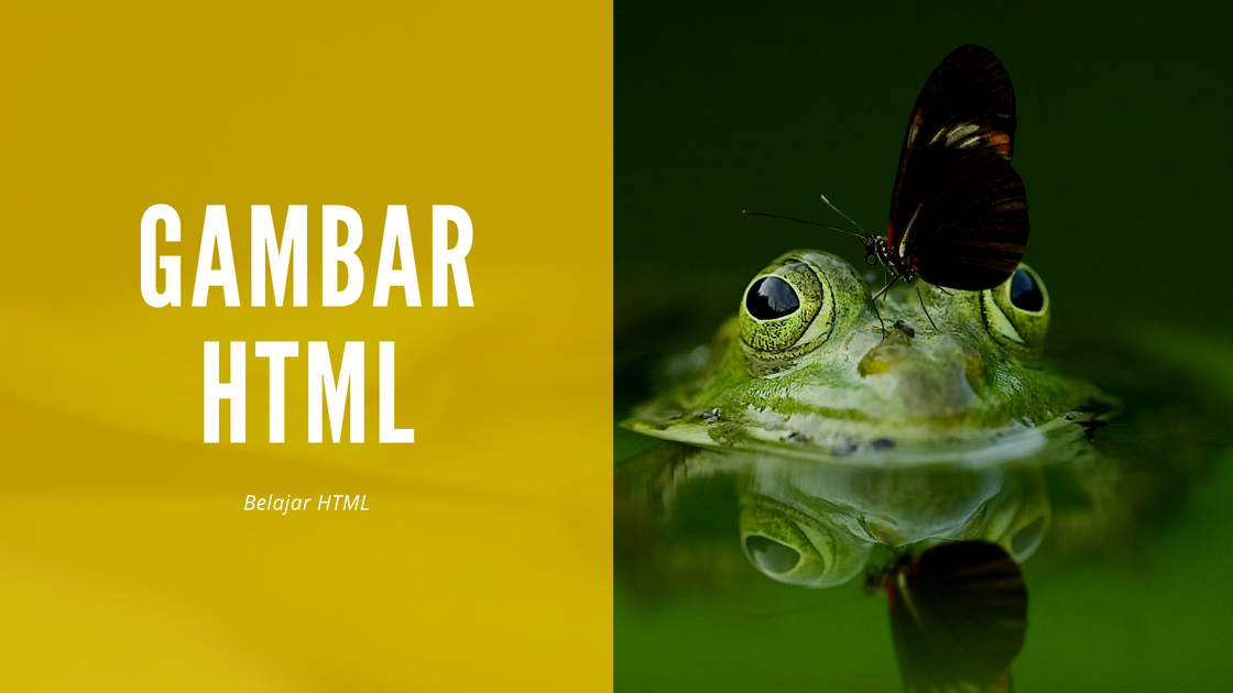 Detail Menampilkan Gambar Pada Html Nomer 49
