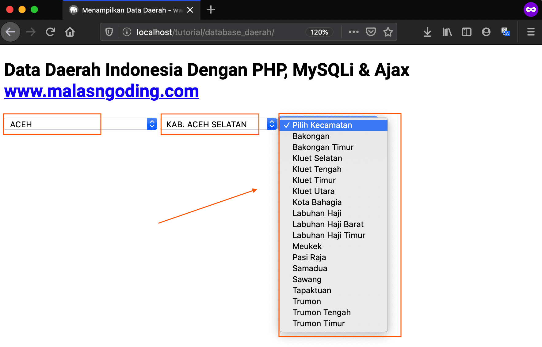 Detail Menampilkan Hanya Gambar Yang Ada Di Php Nomer 18