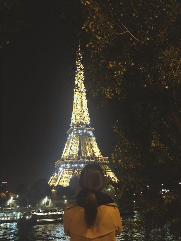 Detail Menara Eiffel Malam Hari Nomer 14