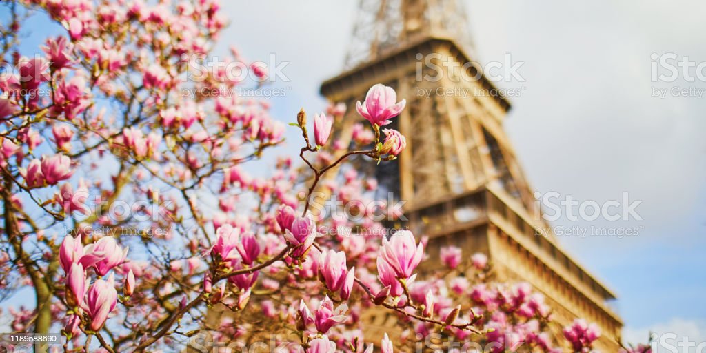 Detail Menara Eiffel Pink Nomer 16