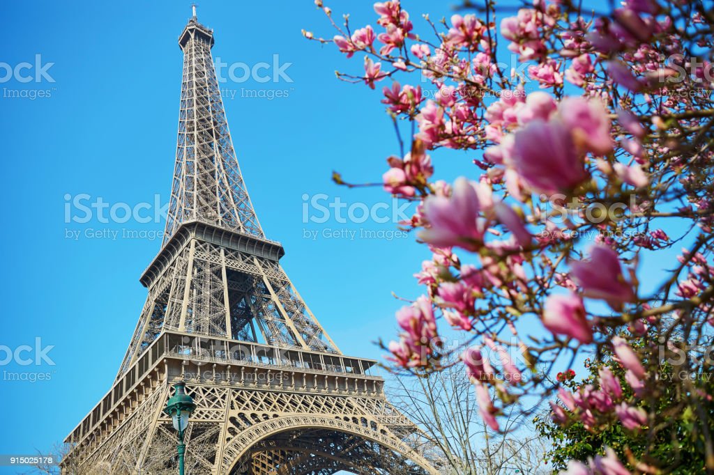 Detail Menara Eiffel Pink Nomer 30