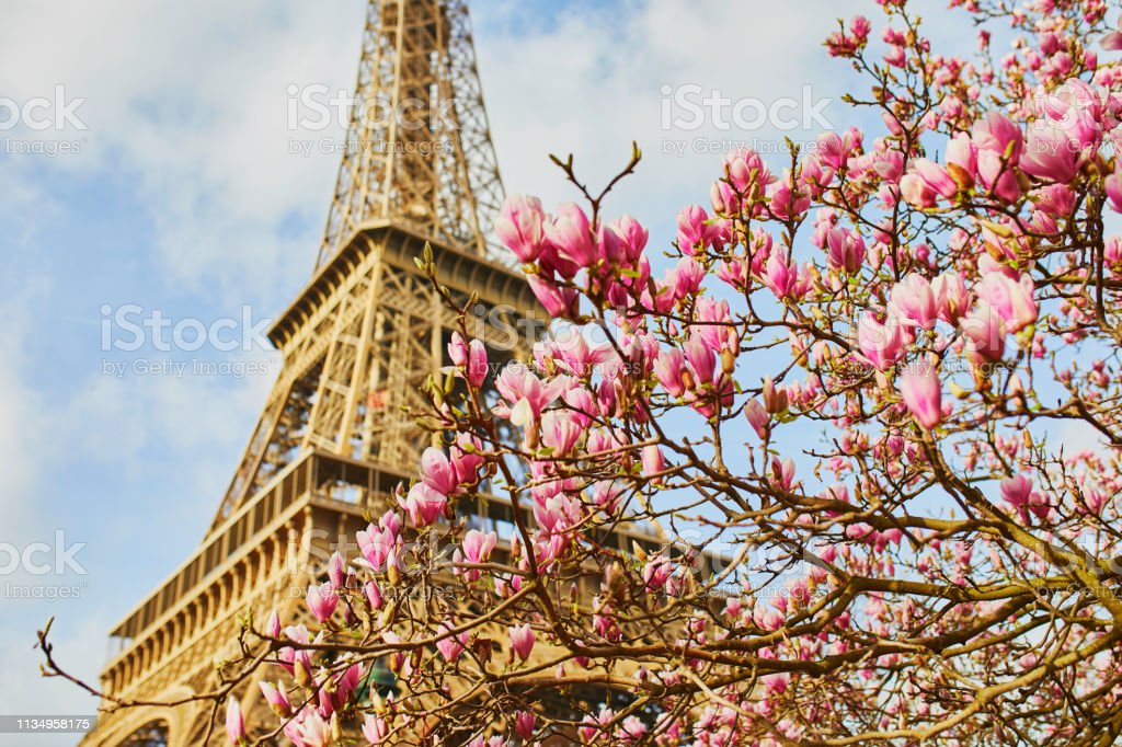 Detail Menara Eiffel Pink Nomer 33