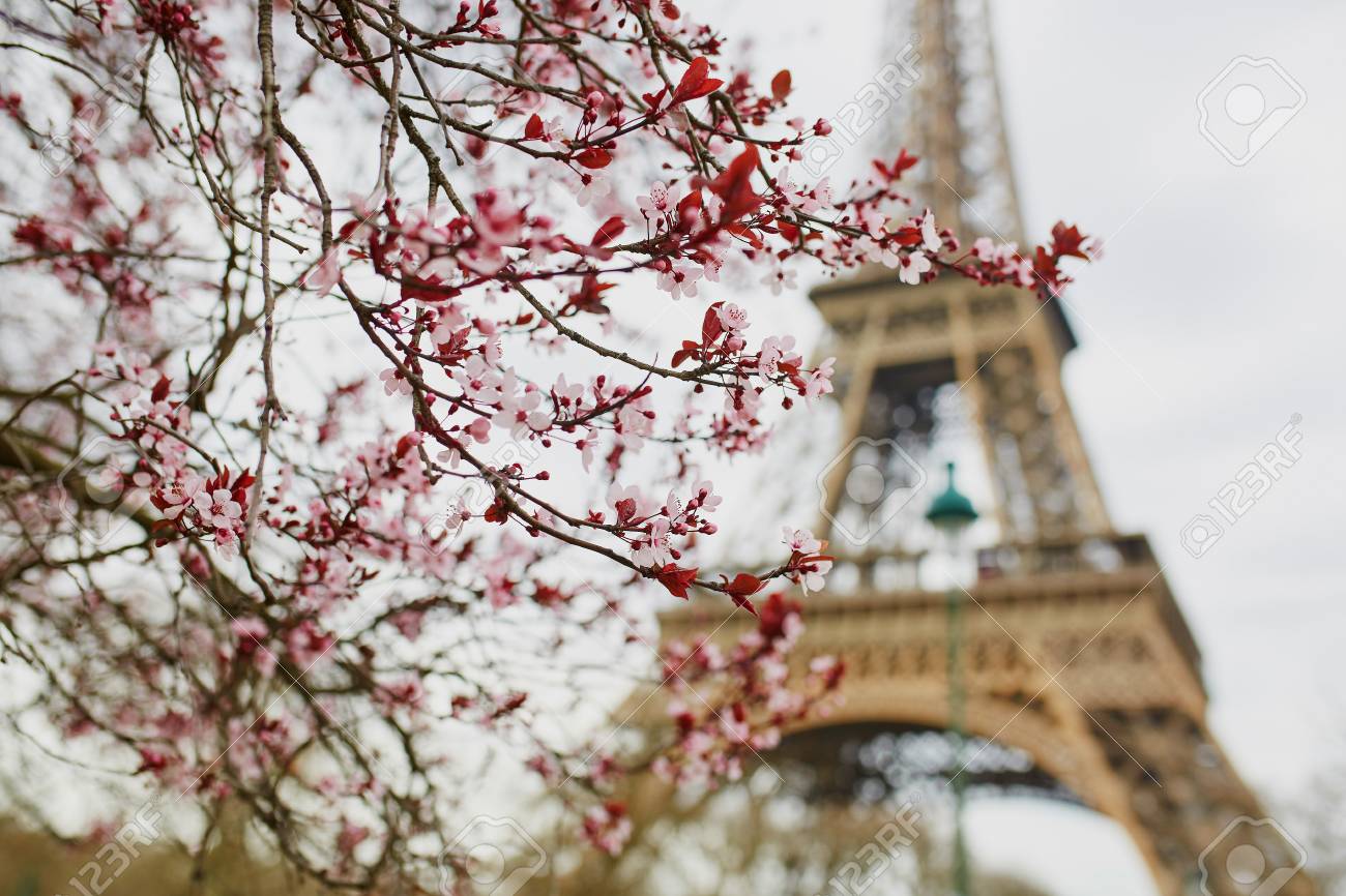 Detail Menara Eiffel Pink Nomer 34
