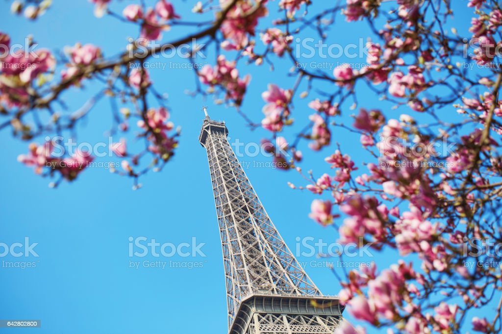 Detail Menara Eiffel Pink Nomer 40