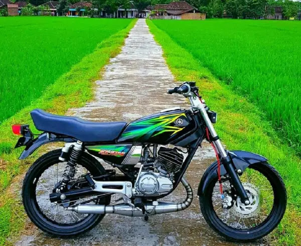 Detail King Modif Standar Nomer 18