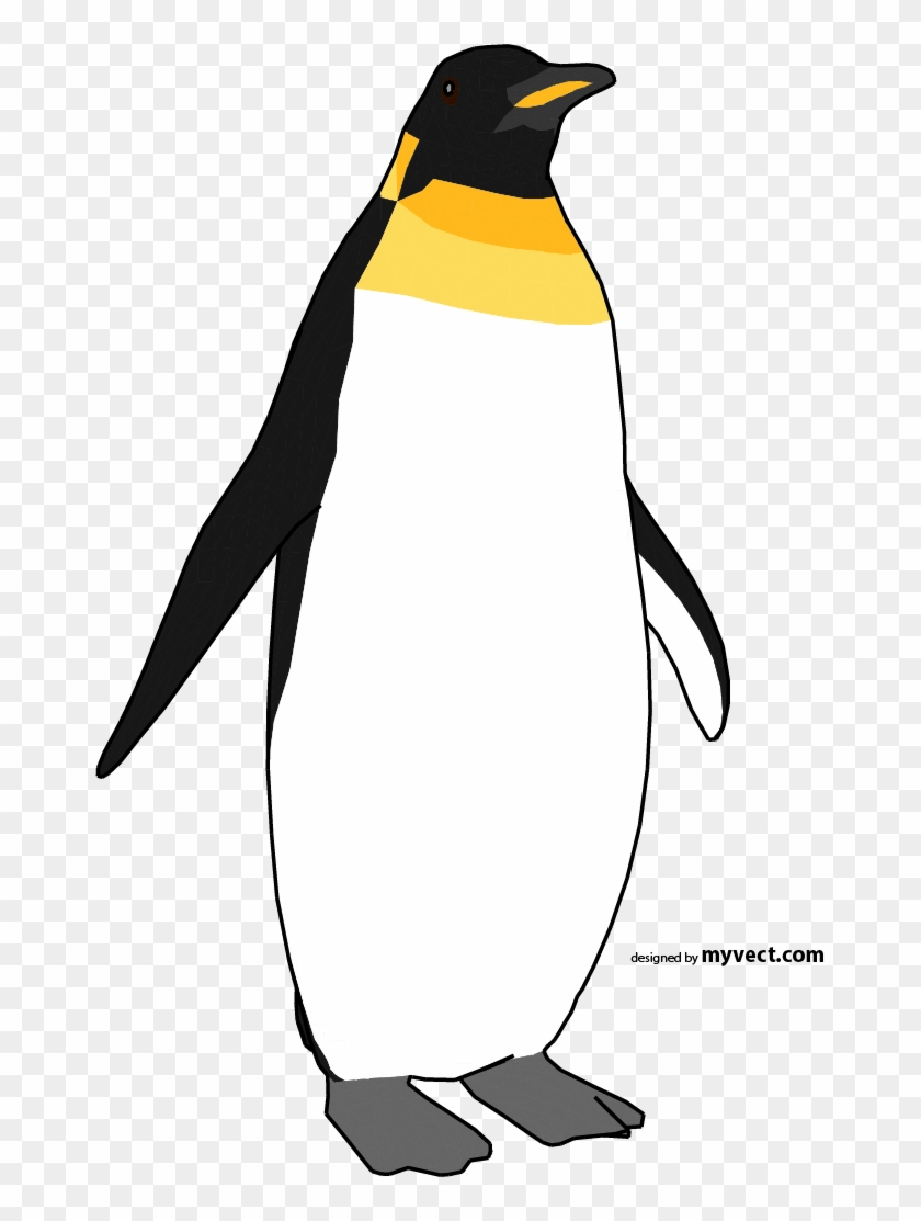 Detail King Penguin Clipart Nomer 17