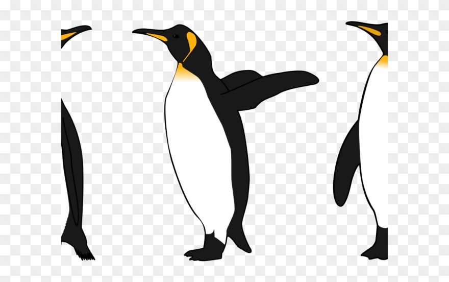 Detail King Penguin Clipart Nomer 3