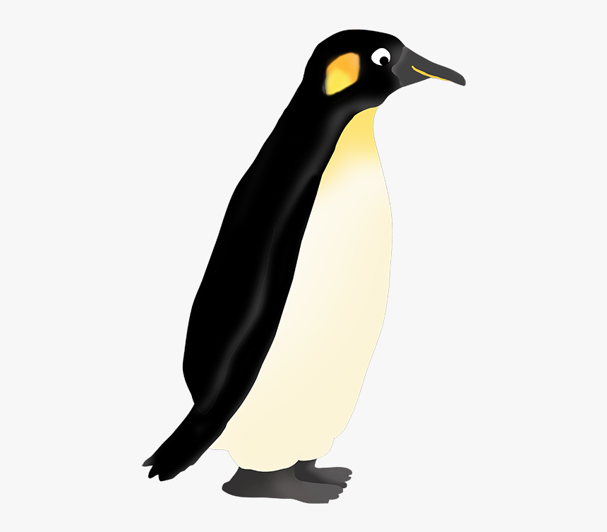 Detail King Penguin Clipart Nomer 24