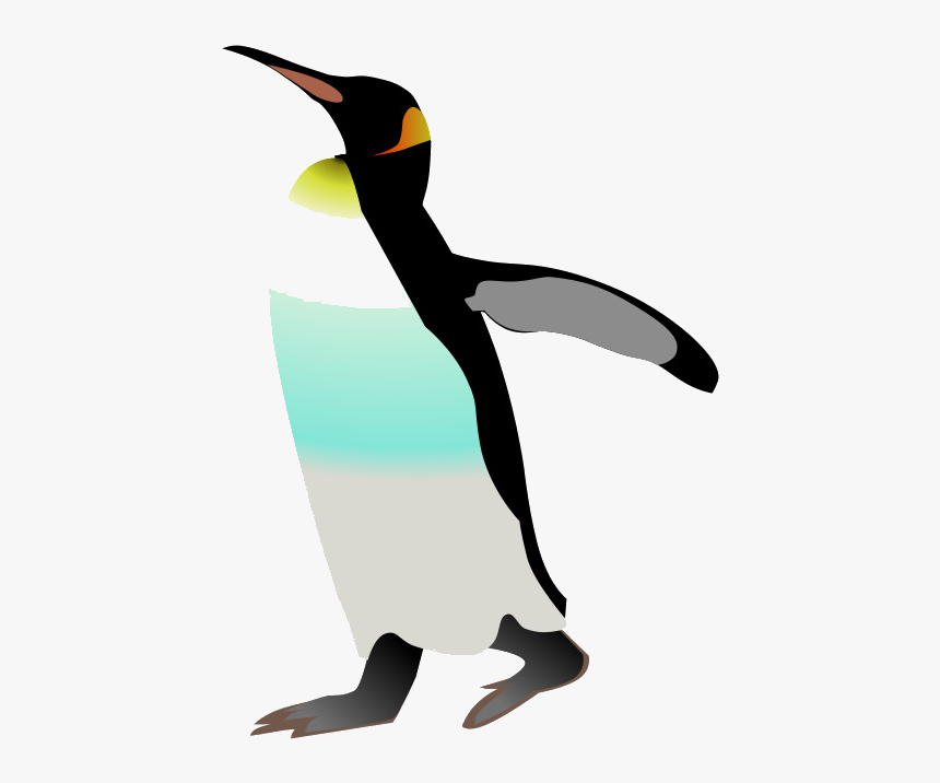 Detail King Penguin Clipart Nomer 27