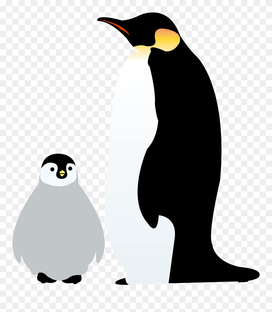 Detail King Penguin Clipart Nomer 38