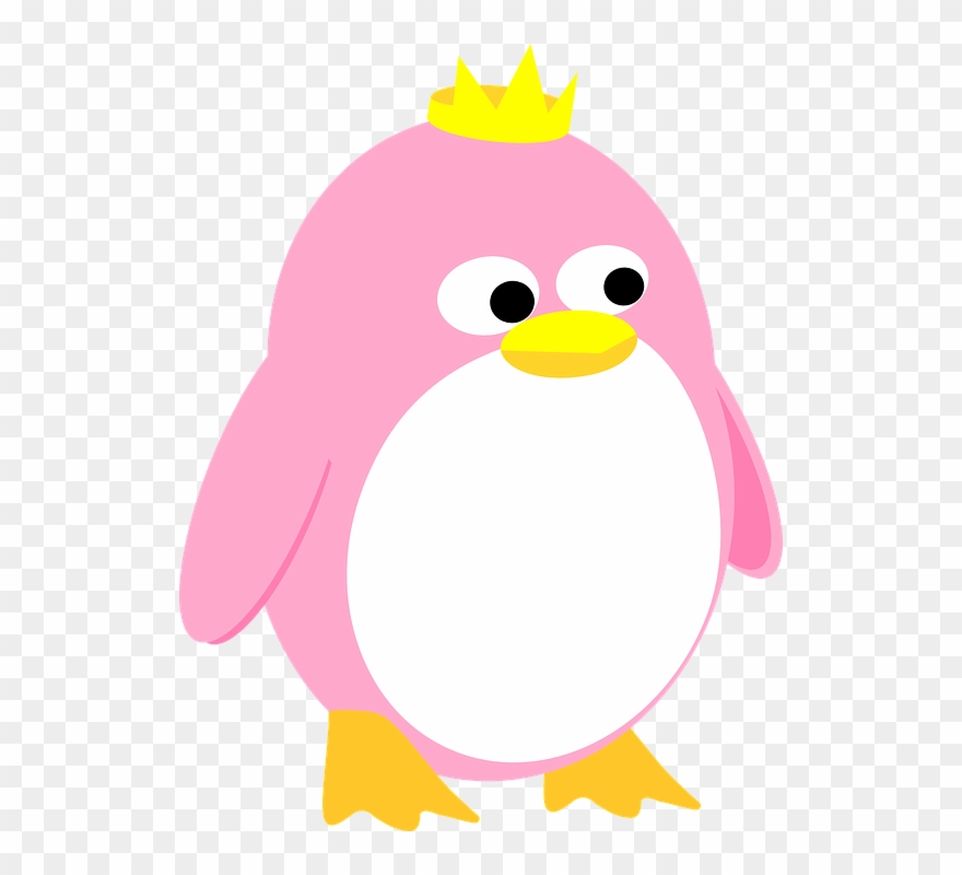 Detail King Penguin Clipart Nomer 41