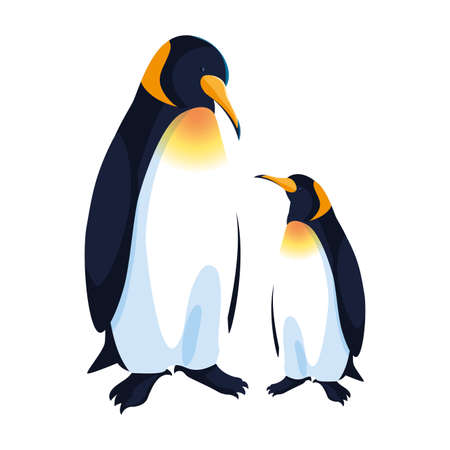 Detail King Penguin Clipart Nomer 42