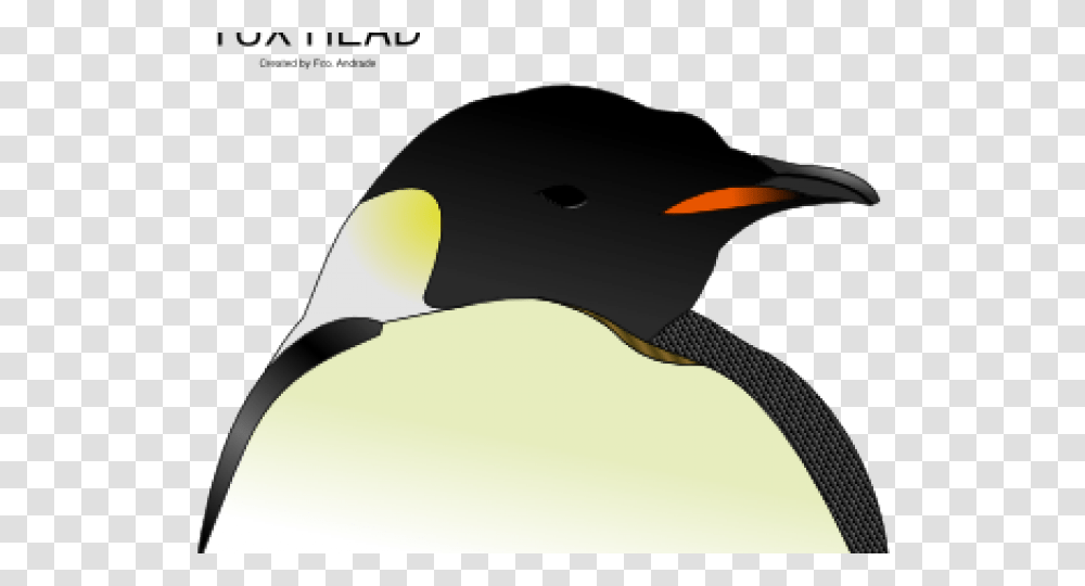 Detail King Penguin Clipart Nomer 50