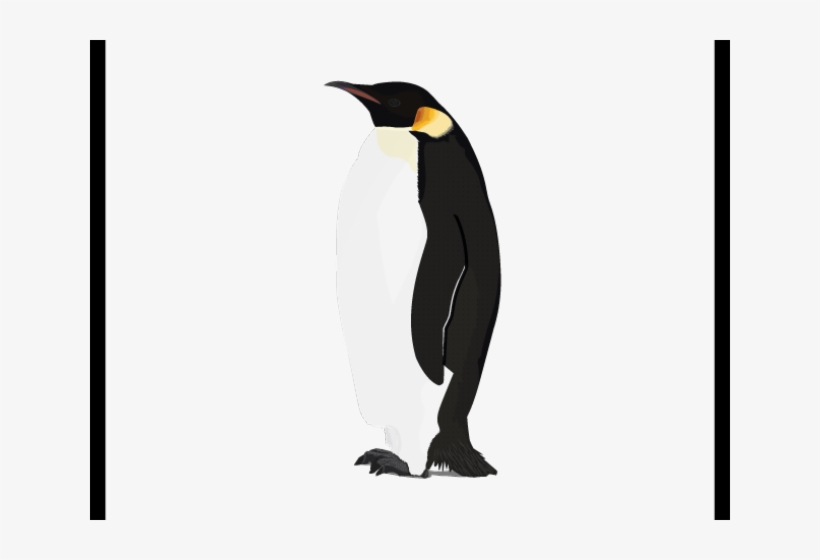 Detail King Penguin Clipart Nomer 7