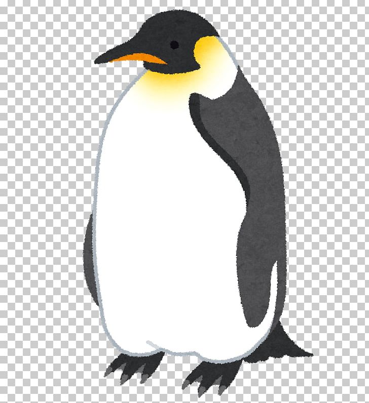 Detail King Penguin Clipart Nomer 8