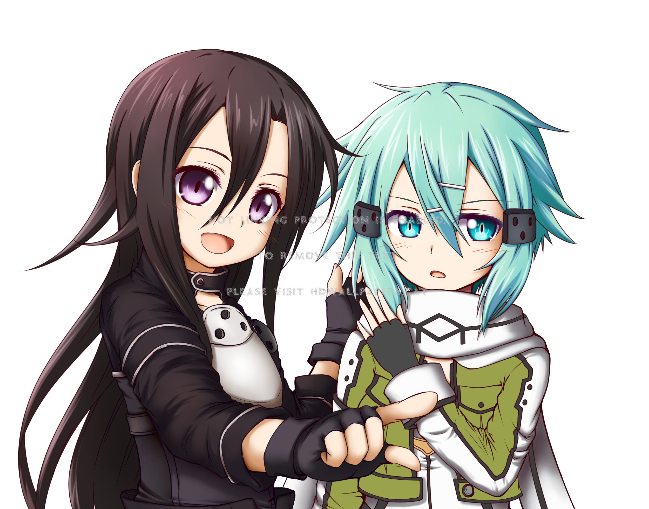 Detail Kirito X Sinon Nomer 17