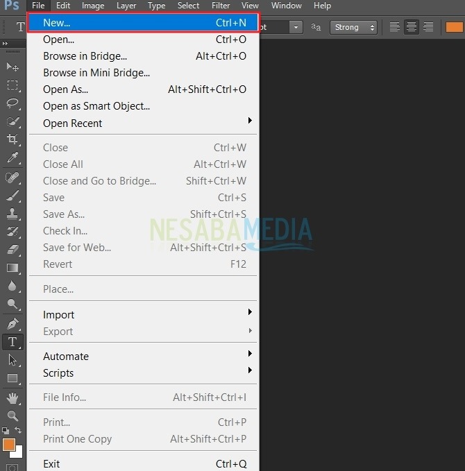 Download Menata Gambar Dalam 1 Dokumen Photoshop Nomer 50