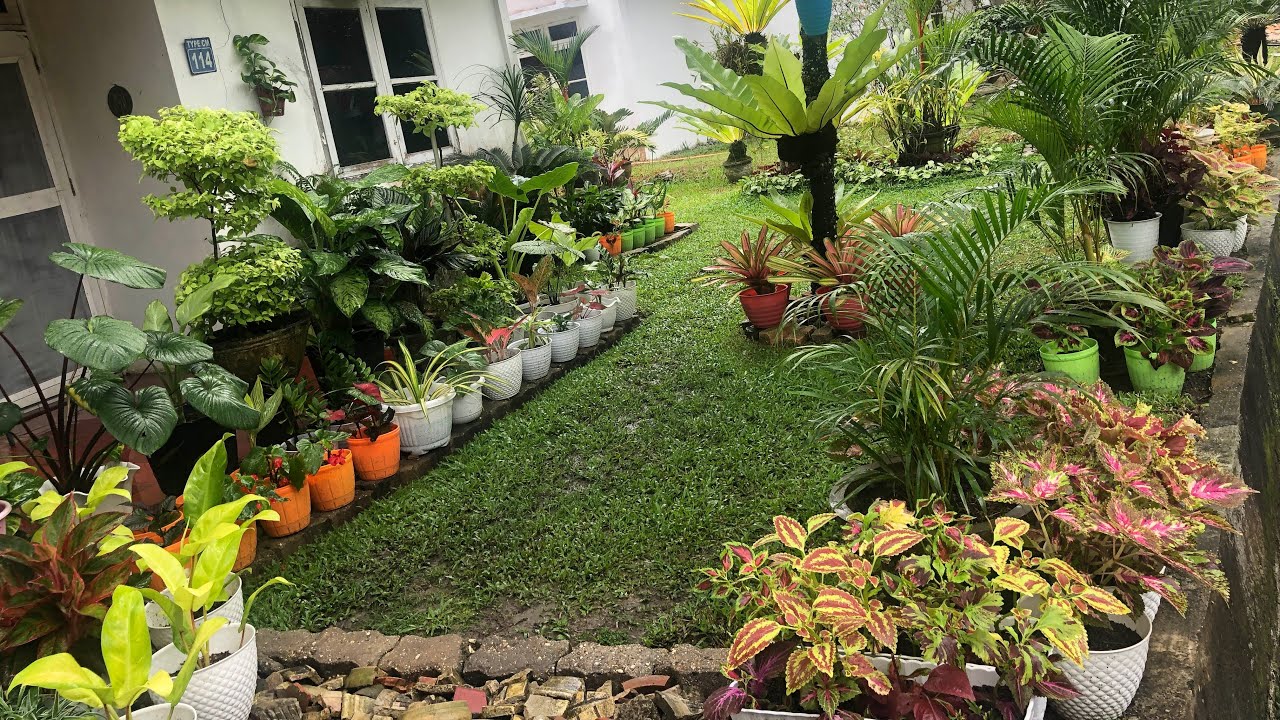 Detail Menata Halaman Rumah Nomer 11