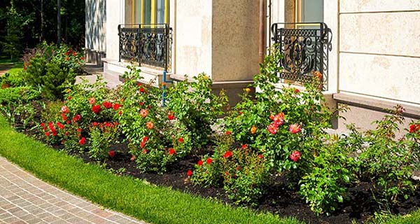 Detail Menata Halaman Rumah Nomer 13
