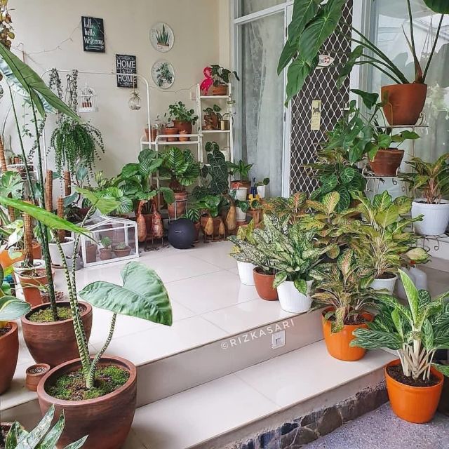 Detail Menata Halaman Rumah Nomer 5