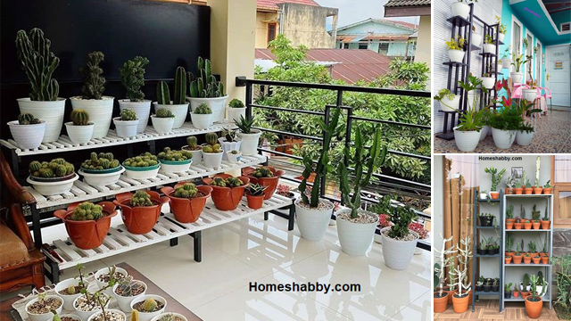 Detail Menata Pot Bunga Di Halaman Rumah Nomer 41