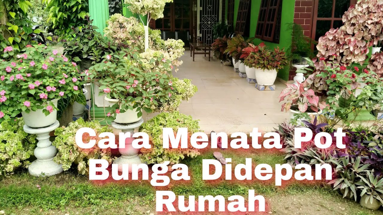 Detail Menata Pot Bunga Di Halaman Rumah Nomer 44