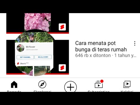 Detail Menata Pot Bunga Di Teras Rumah Nomer 51