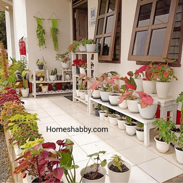 Download Menata Teras Rumah Dengan Bunga Nomer 15