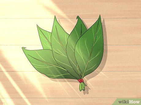 Detail Mencetak Dengan Daun Nomer 30