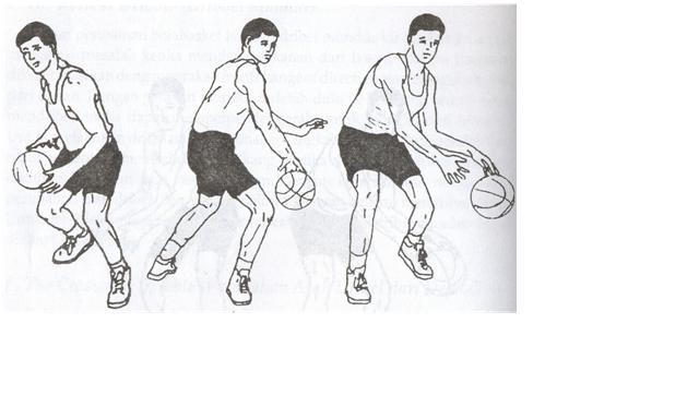 Detail Mendrible Bola Basket Nomer 51
