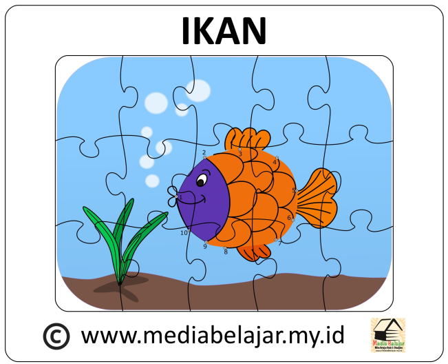 Detail Menebalkan Gambar Ikan Nomer 38