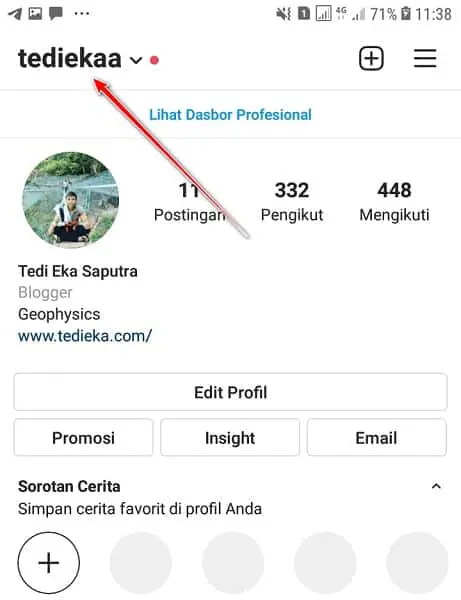 Detail Mengambil Foto Profil Instagram Nomer 38