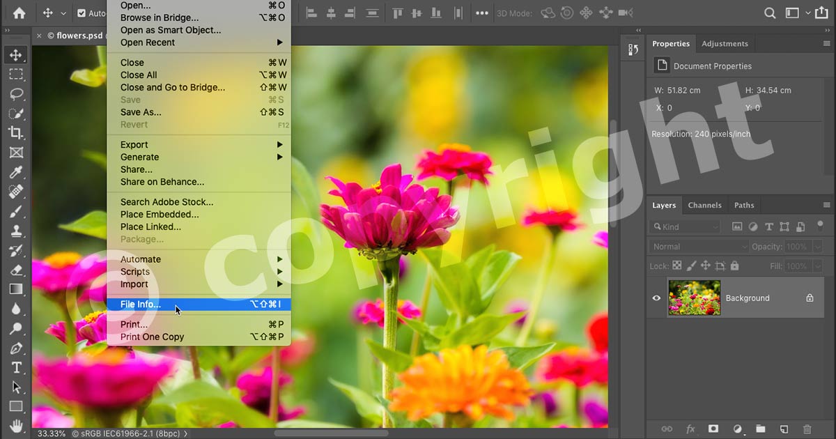 Detail Mengcopy Gambar Ke Adobe Photoshop Cs4 Nomer 20