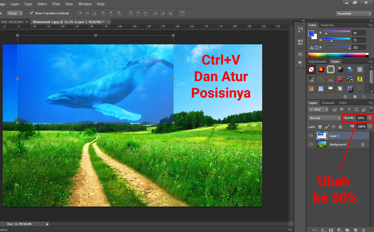 Detail Menggabungkan Gambar Dengan Photoshop Nomer 4