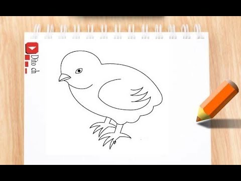 Menggambar Anak Ayam - KibrisPDR