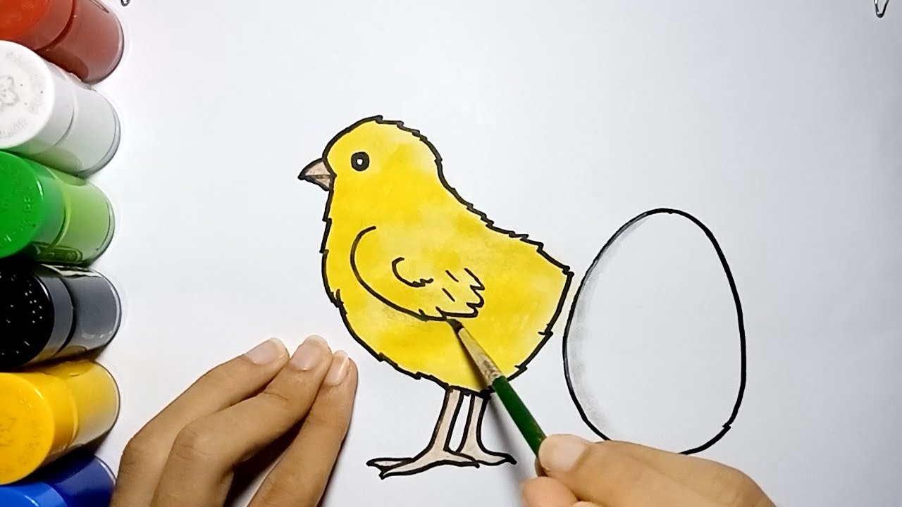 Detail Menggambar Anak Ayam Nomer 18