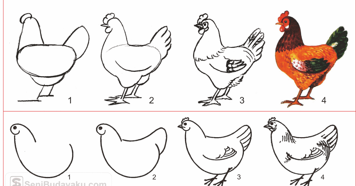 Detail Menggambar Anak Ayam Nomer 25
