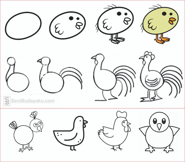 Detail Menggambar Anak Ayam Nomer 5