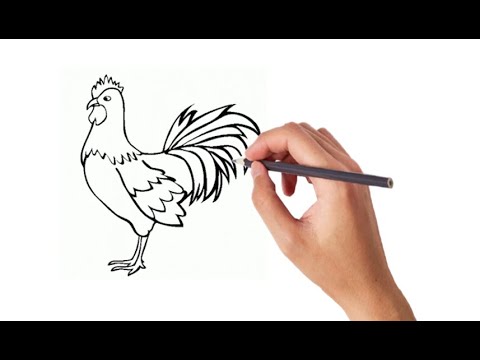 Detail Menggambar Ayam Jago Nomer 6