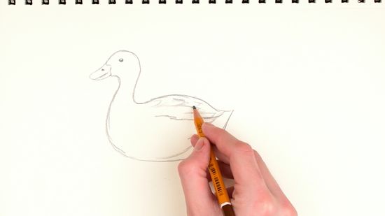 Detail Menggambar Bebek Dengan Mudah Nomer 12