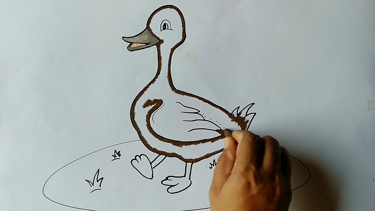 Detail Menggambar Bebek Dengan Mudah Nomer 5