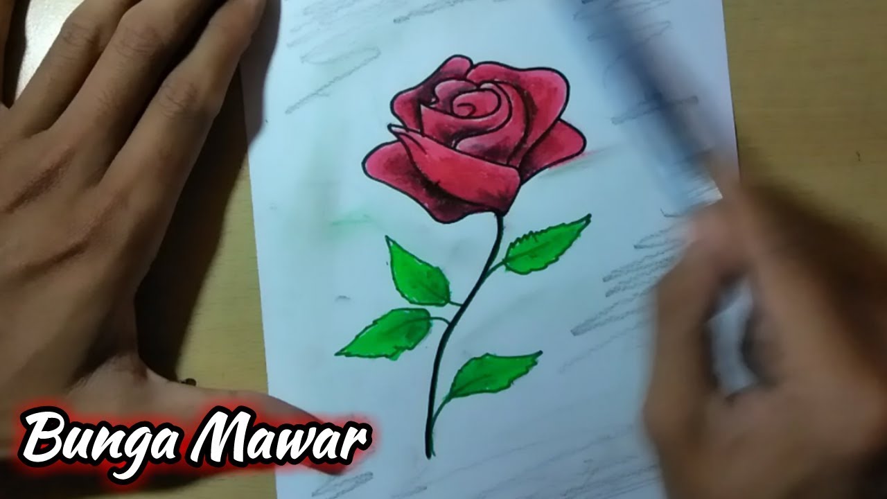 Detail Menggambar Bunga Mawar Nomer 24