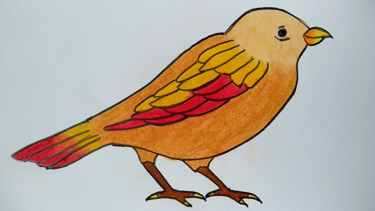 Detail Menggambar Burung Dengan Mudah Nomer 12